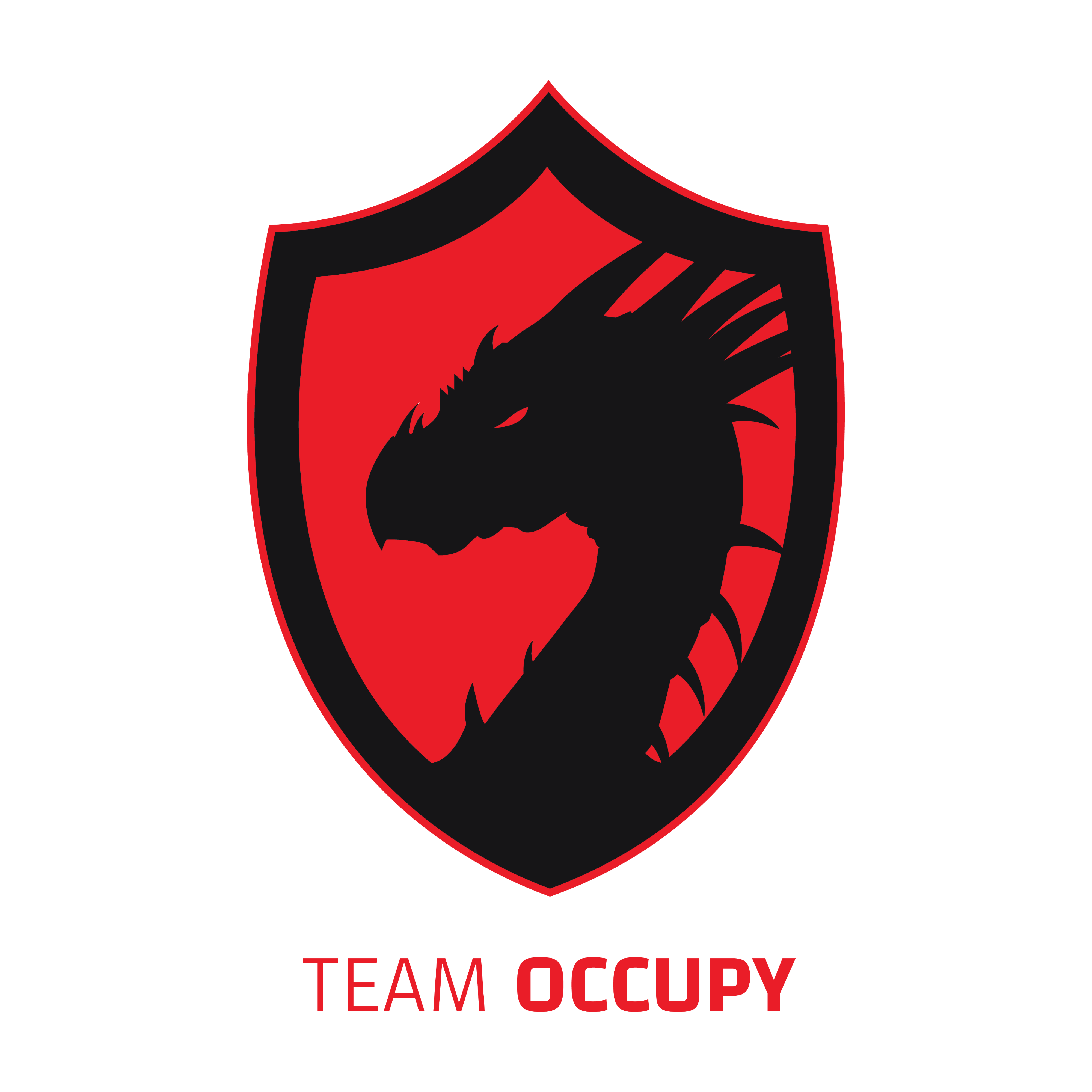 Team Occupy